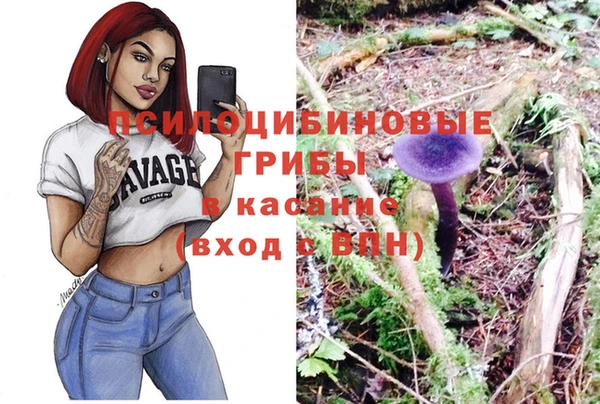 дмт Алексеевка