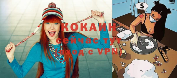 шишки Медногорск