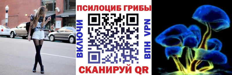 гидра ONION  наркота  Нягань  Псилоцибиновые грибы Psilocybe 